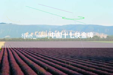 清徐中国十七块金牌