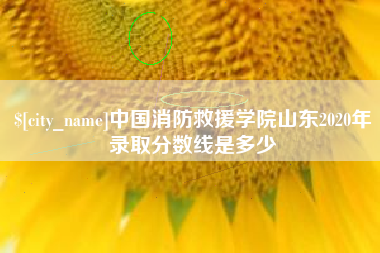 清徐中国消防救援学院山东2020年录取分数线是多少