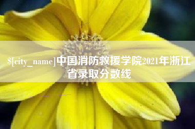 清徐中国消防救援学院2021年浙江省录取分数线