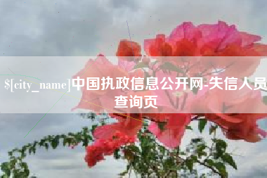 清徐中国执政信息公开网-失信人员查询页