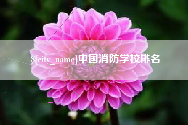 清徐中国消防学校排名