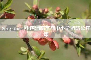 清徐中国消防官网中小学消防公开课