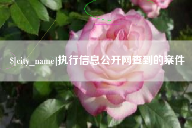 清徐执行信息公开网查到的案件