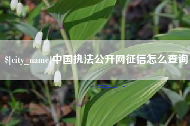 清徐中国执法公开网征信怎么查询