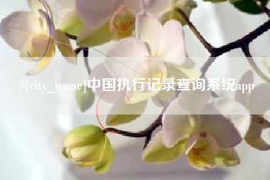 清徐中国执行记录查询系统app
