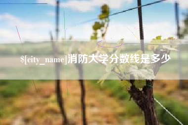 清徐消防大学分数线是多少
