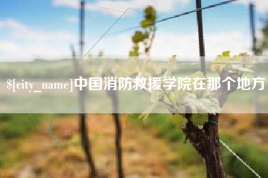 清徐中国消防救援学院在那个地方