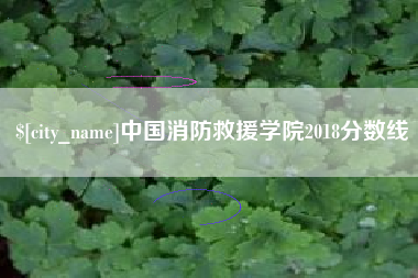 清徐中国消防救援学院2018分数线