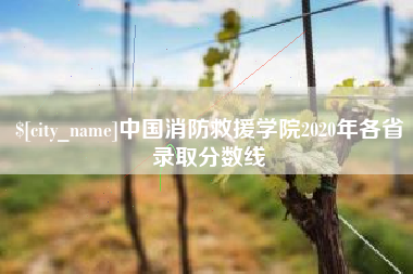 清徐中国消防救援学院2020年各省录取分数线