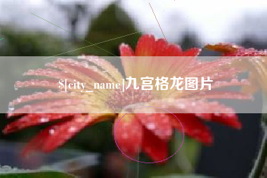 清徐九宫格龙图片