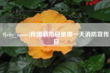 清徐我国消防日是哪一天消防宣传日