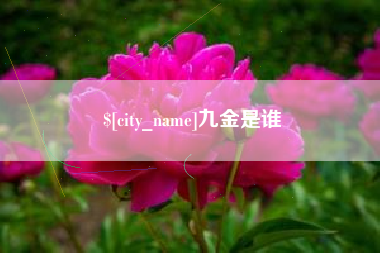 清徐九金是谁