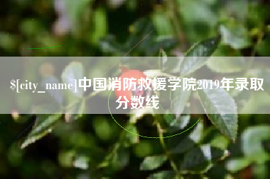 清徐中国消防救援学院2019年录取分数线
