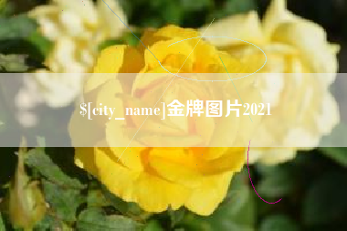 清徐金牌图片2021