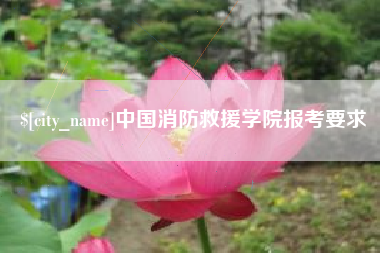 清徐中国消防救援学院报考要求