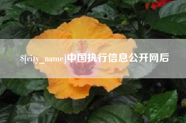 清徐中国执行信息公开网后