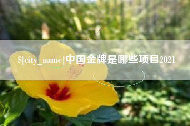 清徐中国金牌是哪些项目2021
