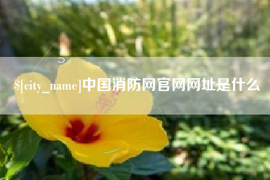 清徐中国消防网官网网址是什么