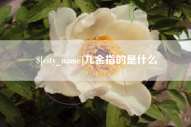清徐九金指的是什么