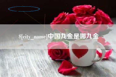 清徐中国九金是哪九金
