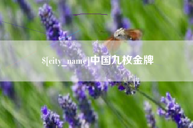 清徐中国九枚金牌