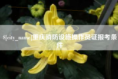 清徐重庆消防设施操作员证报考条件