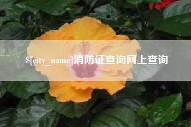 清徐消防证查询网上查询