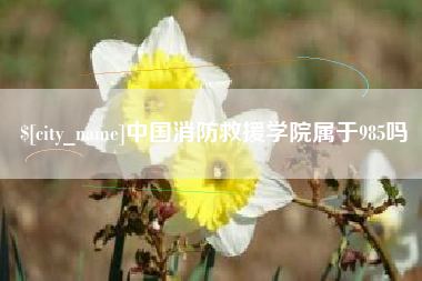 清徐中国消防救援学院属于985吗