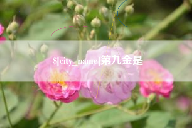 清徐第九金是