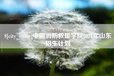 清徐中国消防救援学院2021年山东招生计划