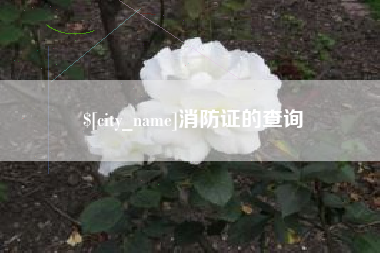 清徐消防证的查询