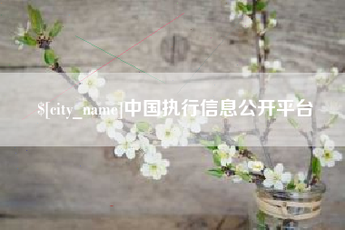 清徐中国执行信息公开平台