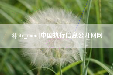 清徐中国执行信息公开网网