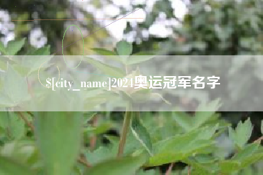 清徐2024奥运冠军名字