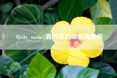 清徐消防证初级查询系统