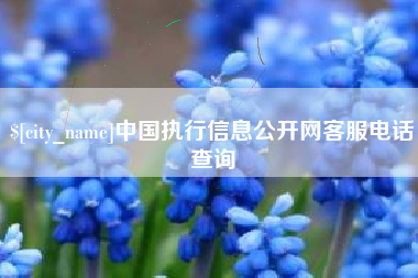 清徐中国执行信息公开网客服电话查询