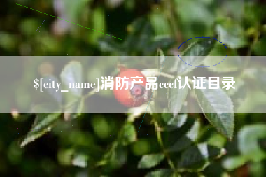清徐消防产品cccf认证目录