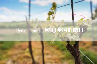 清徐11月9日全国消防日