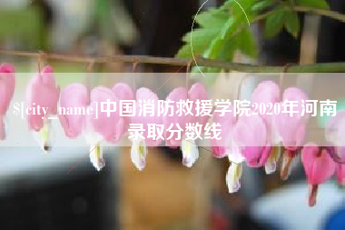 清徐中国消防救援学院2020年河南录取分数线