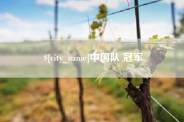 清徐中国队 冠军