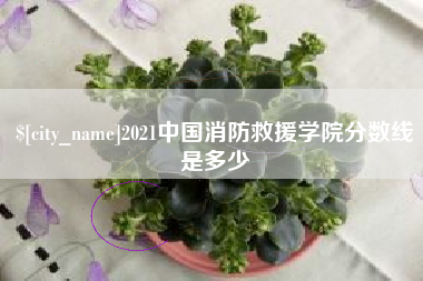 清徐2021中国消防救援学院分数线是多少
