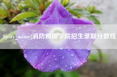 清徐消防救援学院招生录取分数线