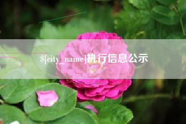 清徐执行信息公示