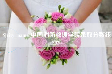 清徐中国消防救援学院录取分数线2020