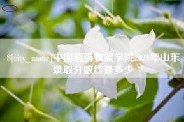 清徐中国消防救援学院2021年山东录取分数线是多少
