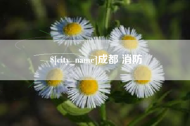 清徐成都 消防