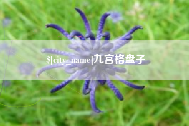 清徐九宫格盘子