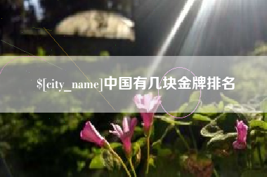 清徐中国有几块金牌排名