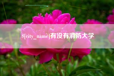 清徐有没有消防大学