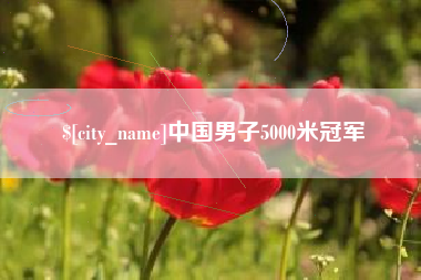 清徐中国男子5000米冠军